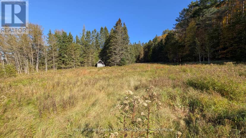 1827 Highway 141 Highway, Muskoka Lakes, photo 6