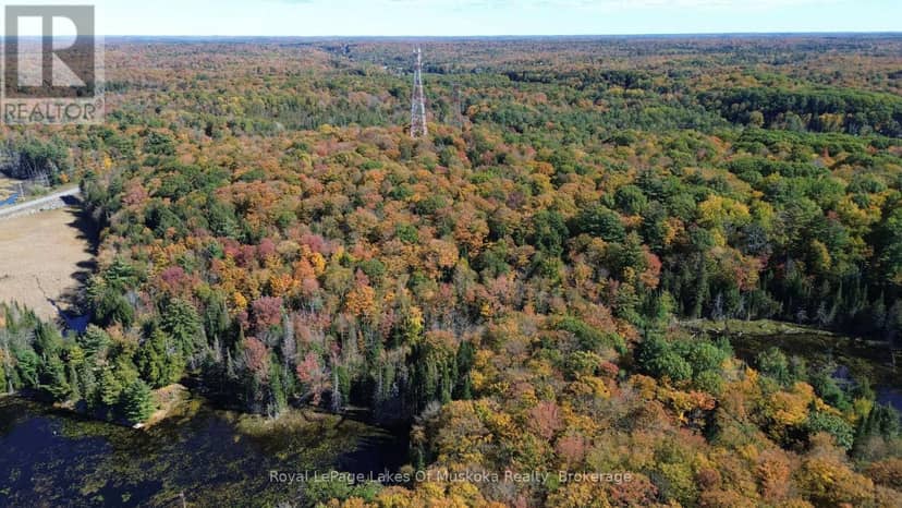 Pt Lt 14 Con B Highway 141 Highway, Muskoka Lakes, photo 4