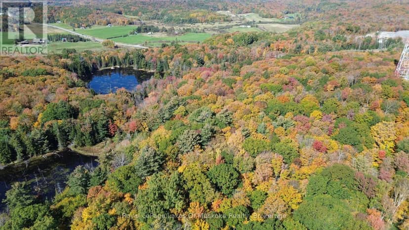 Pt Lt 14 Con B Highway 141 Highway, Muskoka Lakes, photo 6