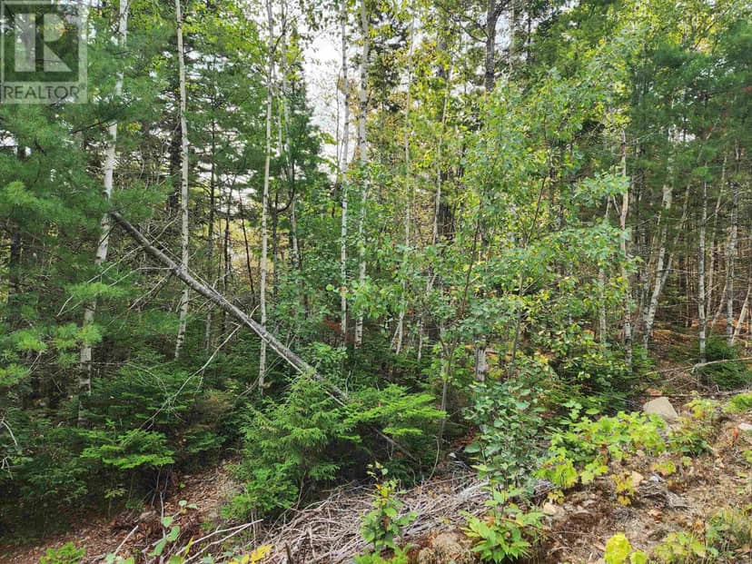 Lot 70 Turner Point Crossover, Walden, photo 4