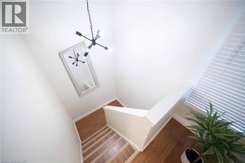 273 ELGIN Street Unit# 41 — photo 10 of 18