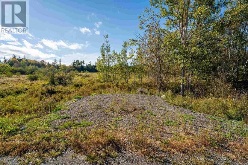 8431 354 Highway — photo 8 of 20