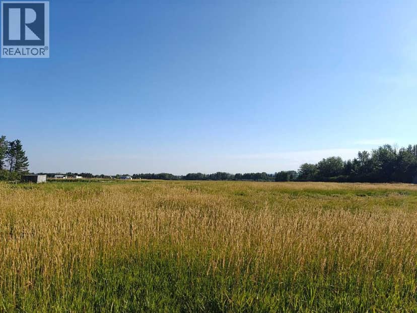10 Acres - Township Road 240A, Rural Rocky View County, photo 3