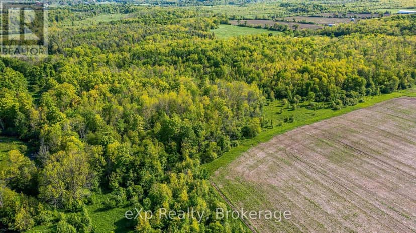 E 1/2 Lt 29-30 Con 4; Sideroad 30 — photo 15 of 36