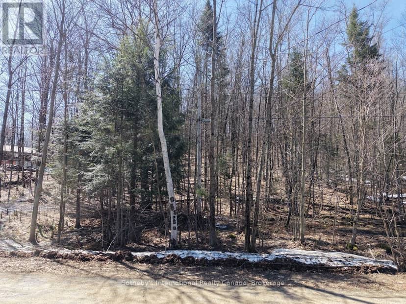 0 Mink Lot 17 Road — photo 11 of 15
