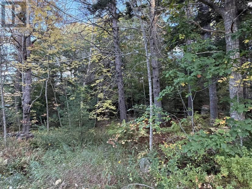 Lot PID#70072707 School Street, Milton, photo 6