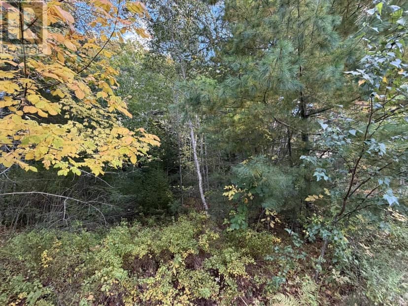 Lot PID#70072707 School Street, Milton, photo 3