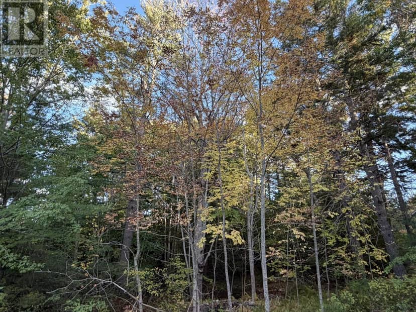 Lot PID#70072707 School Street, Milton, photo 7