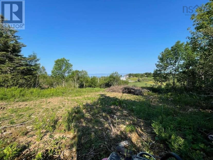 14764 Highway 4 — photo 13 of 19