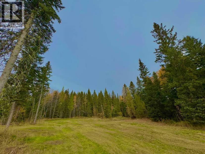 157 Meadow Ponds Drive, Rural Clearwater County, photo 5