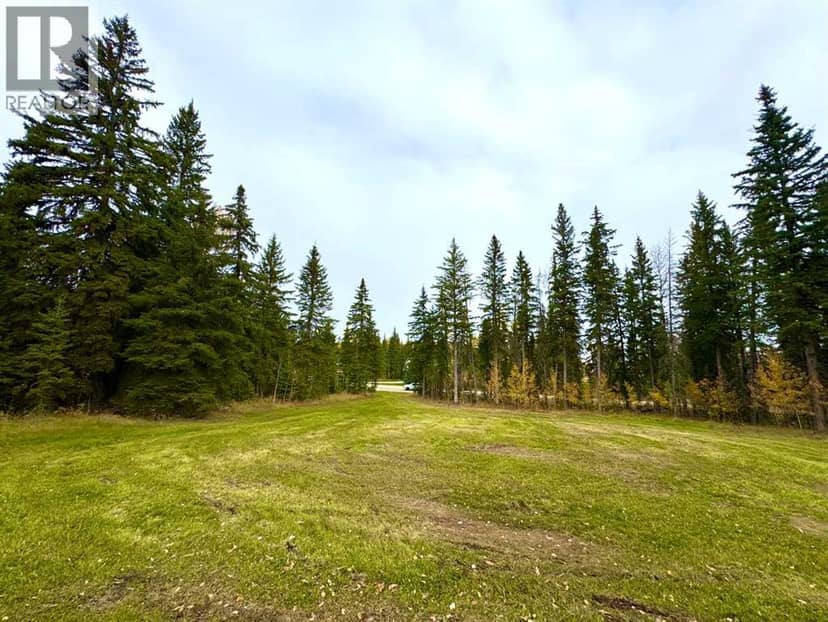 127 Meadow Ponds Drive, Rural Clearwater County, photo 4