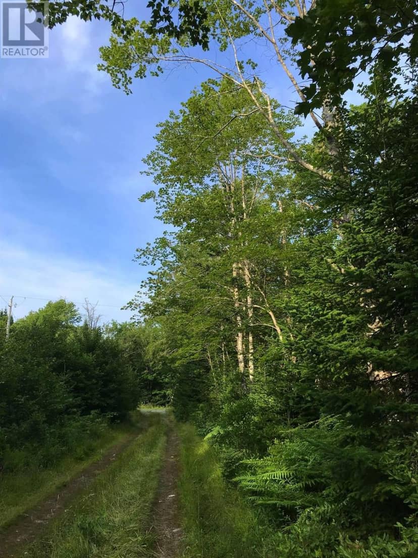 Lot East Sable Road, East Sable River, photo 7