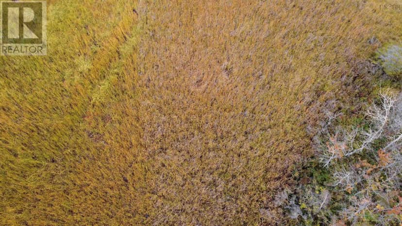 Lot 2 Malagash South Shore Road, Malagash, photo 6