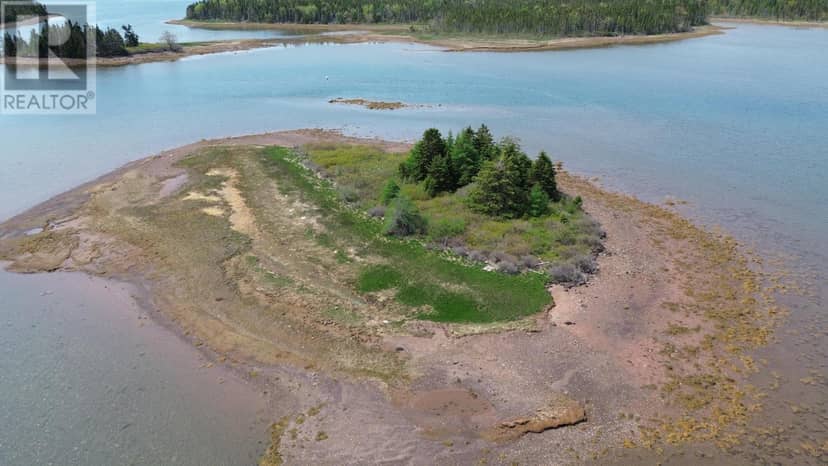 Lot Seal Cove Island, Louisdale, photo 5