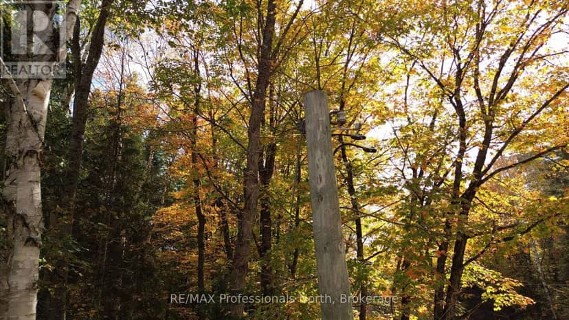 3907 Stisted Road — photo 15 of 37