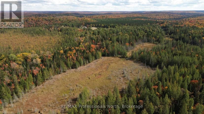 3907 Stisted Road — photo 30 of 37