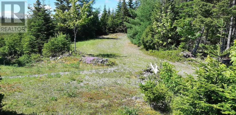 8132 Gabarus Highway — photo 27 of 34