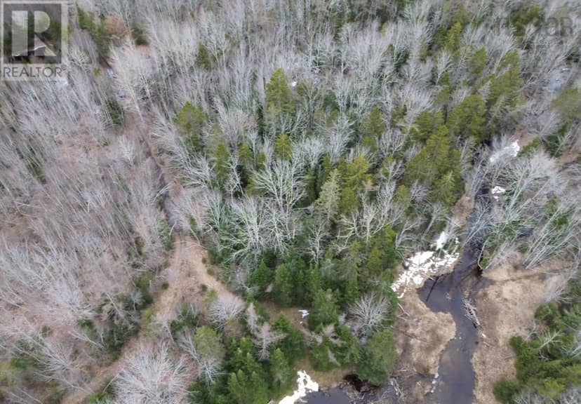 115 Bennie Muckle Road — photo 19 of 31
