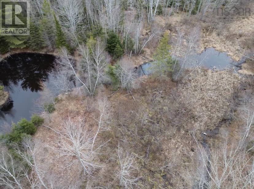 115 Bennie Muckle Road — photo 12 of 31