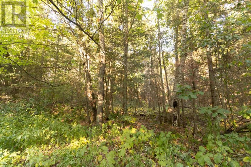 Lot 14&15 Nokomis Beach RD — photo 7 of 10