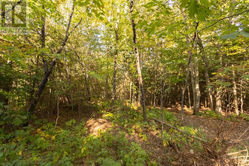 Lot 16 Nokomis Beach RD — photo 4 of 6