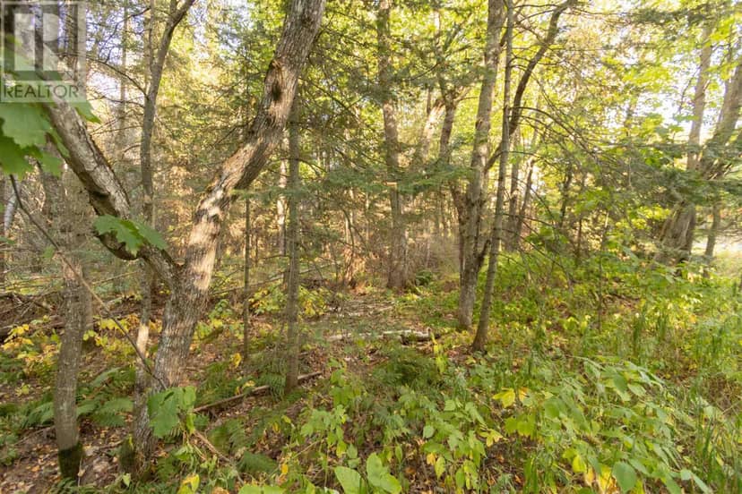Lot 14&15 Nokomis Beach RD — photo 8 of 10