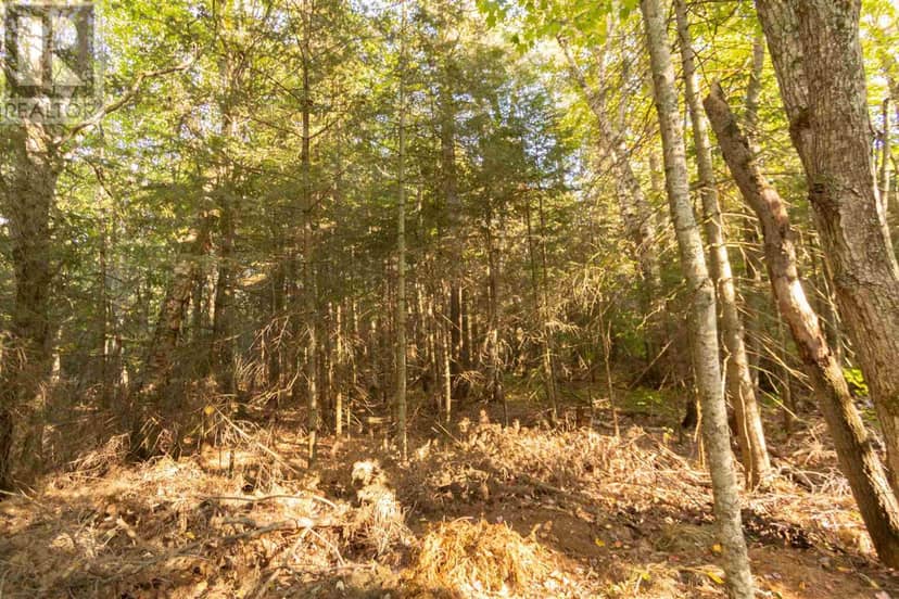 Lot 16 Nokomis Beach RD — photo 6 of 6