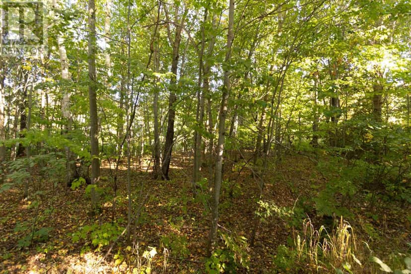 Lot 19 Nokomis Beach RD — photo 11 of 13