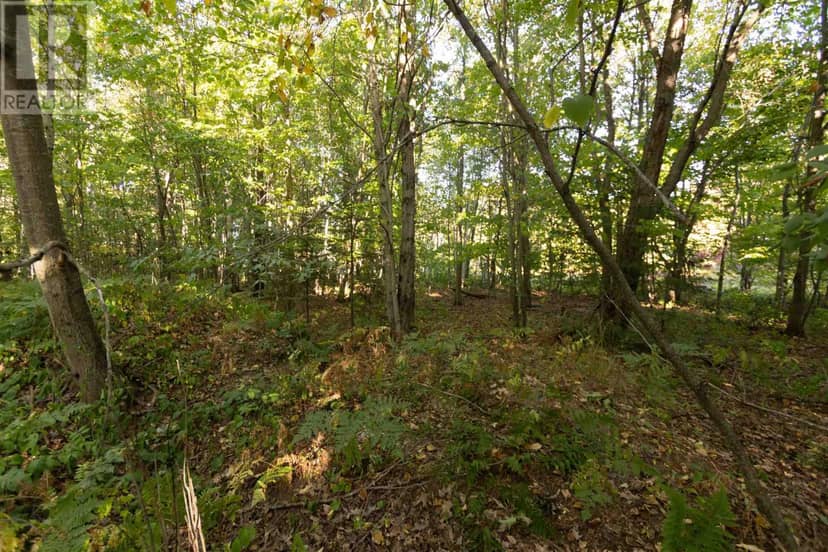 Lot 19 Nokomis Beach RD — photo 13 of 13