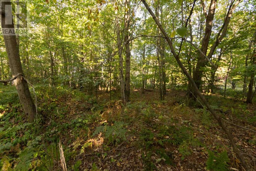 Lot 19 Nokomis Beach RD — photo 9 of 13
