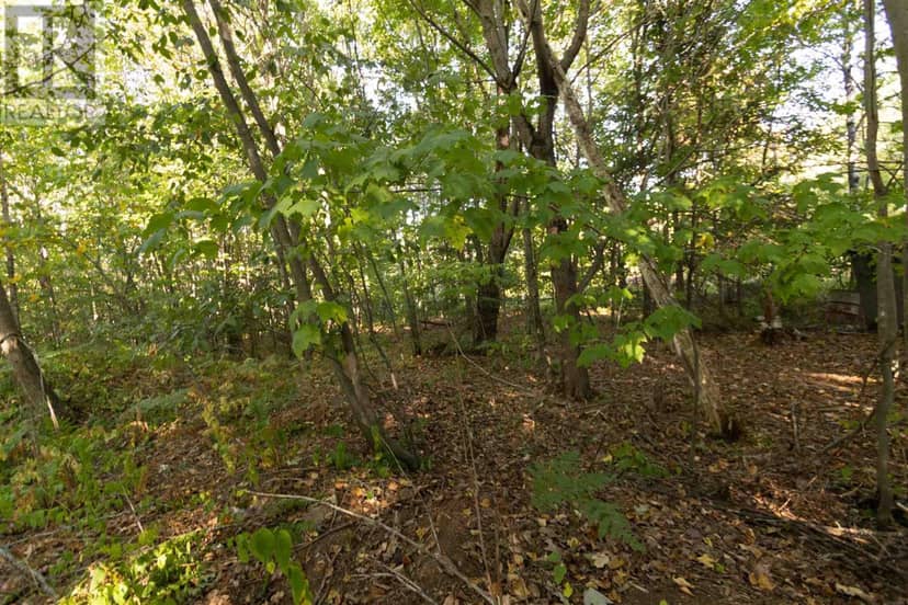 Lot 19 Nokomis Beach RD — photo 7 of 13