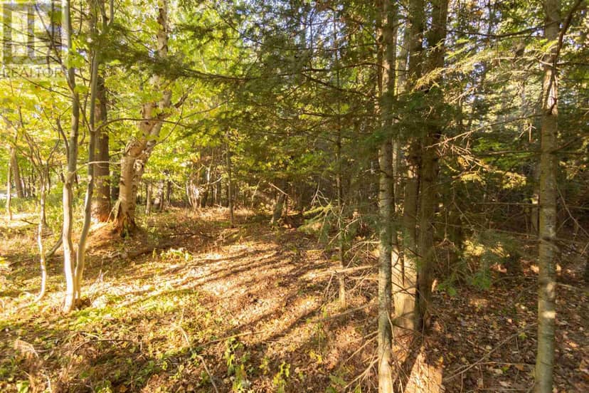 Lot 18 Nokomis Beach RD — photo 6 of 8