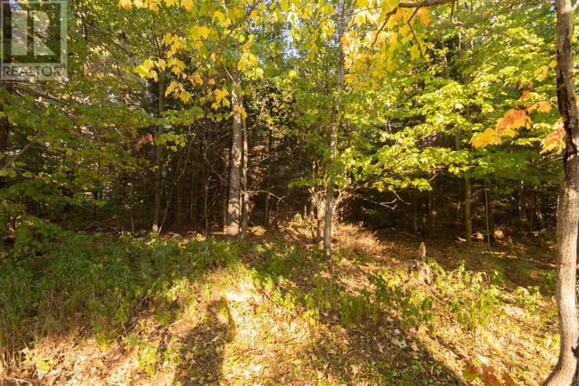 Lot 18 Nokomis Beach RD — photo 5 of 8