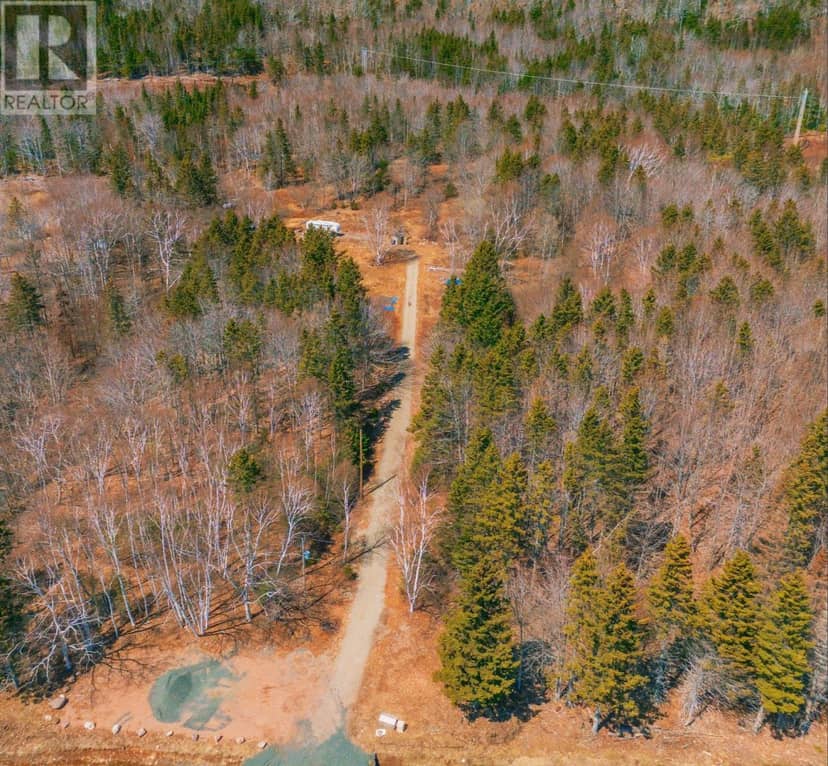10843 105 Highway — photo 5 of 17