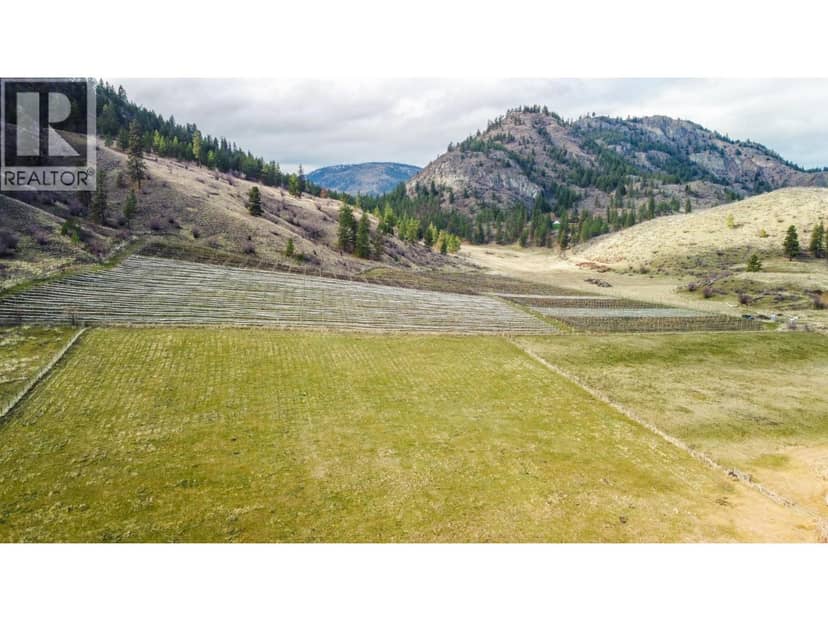 698 Green Lake Road, Oliver, photo 4
