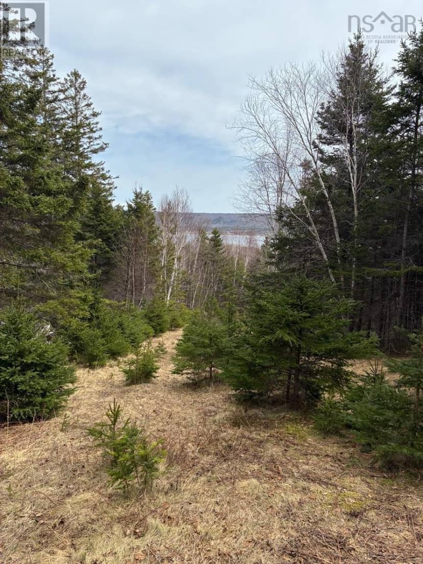 Eskasoni Road — photo 16 of 17