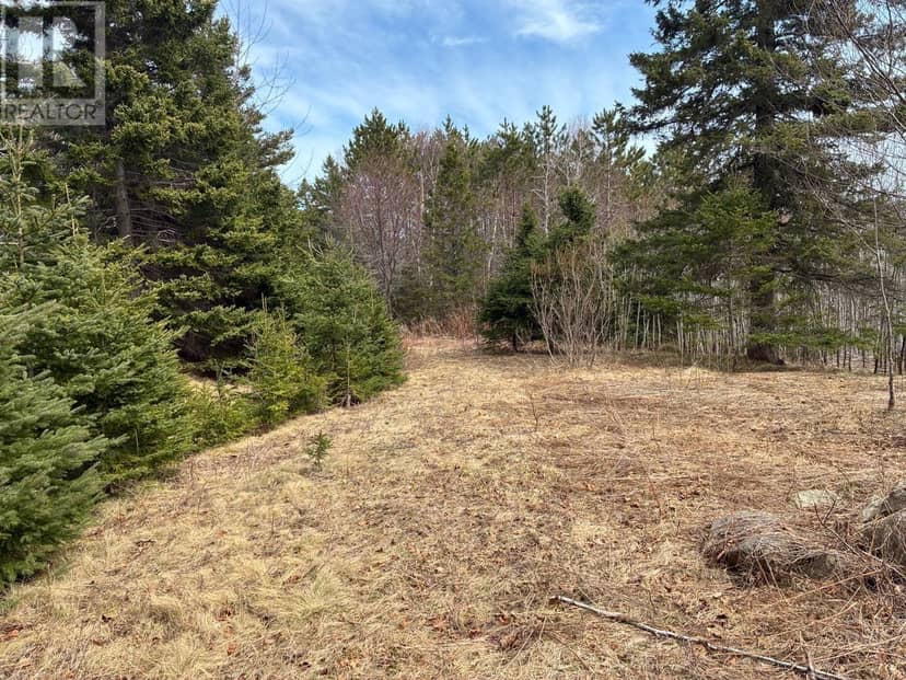 Eskasoni Road — photo 12 of 17