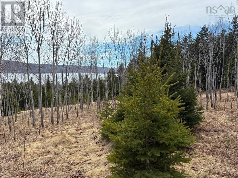 Eskasoni Road — photo 8 of 17