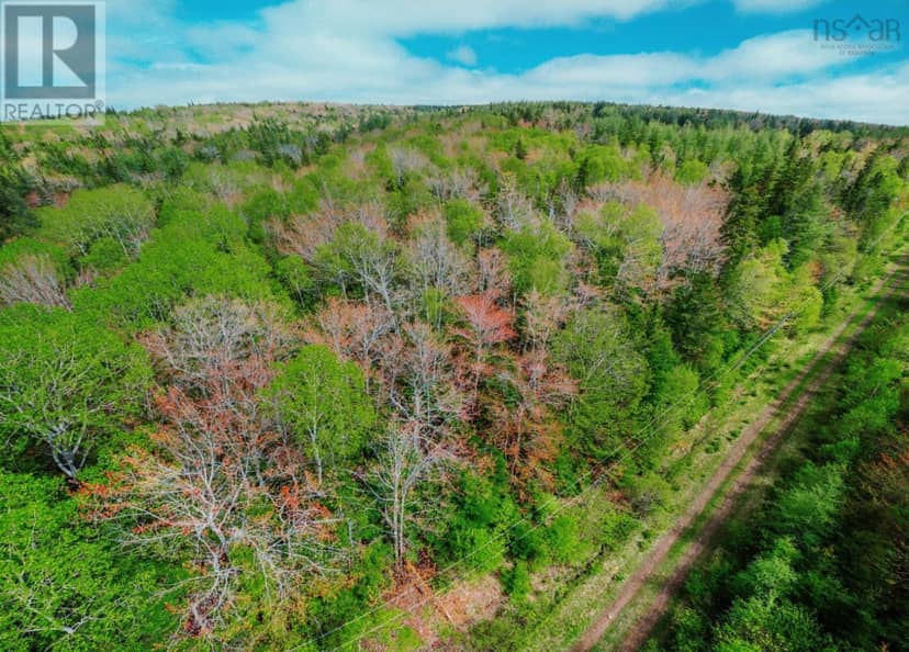 Lot 09-3 Hillsdale Road — photo 12 of 15