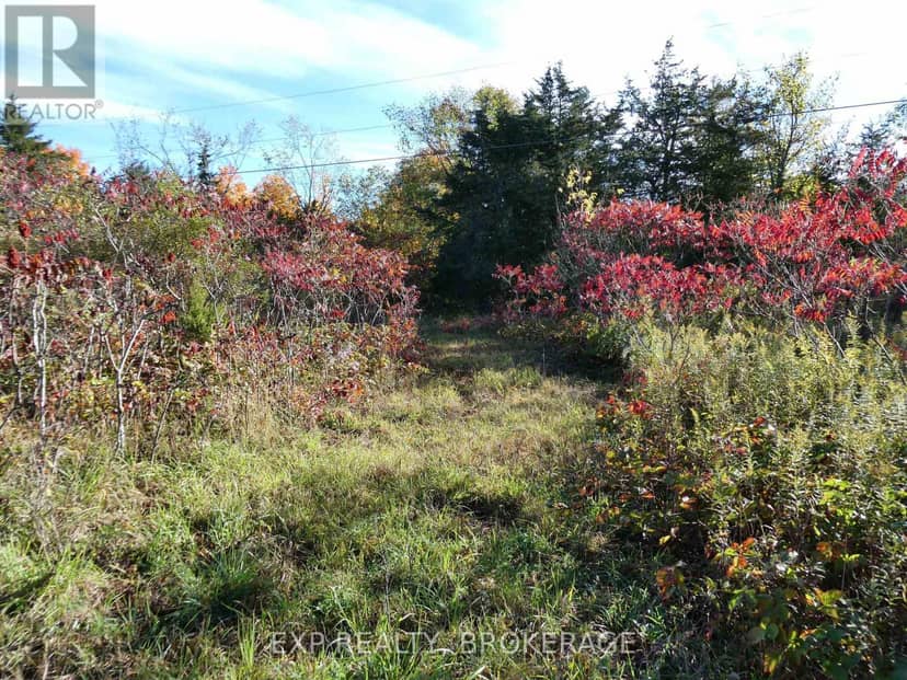 Pt Lt 23 Con 7 Pebble Lane S — photo 3 of 12