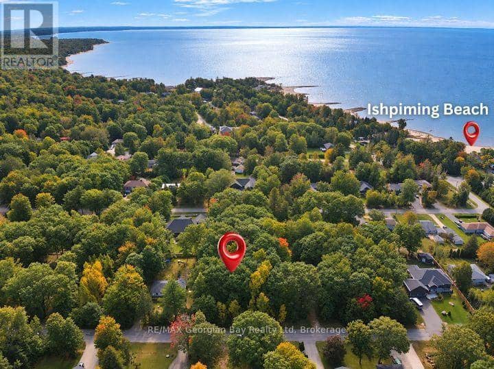 69 Pinecone Avenue, Tiny