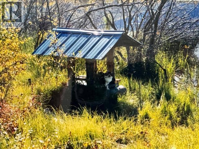 Lot 1006 SILVER TRAIL — photo 14 of 17