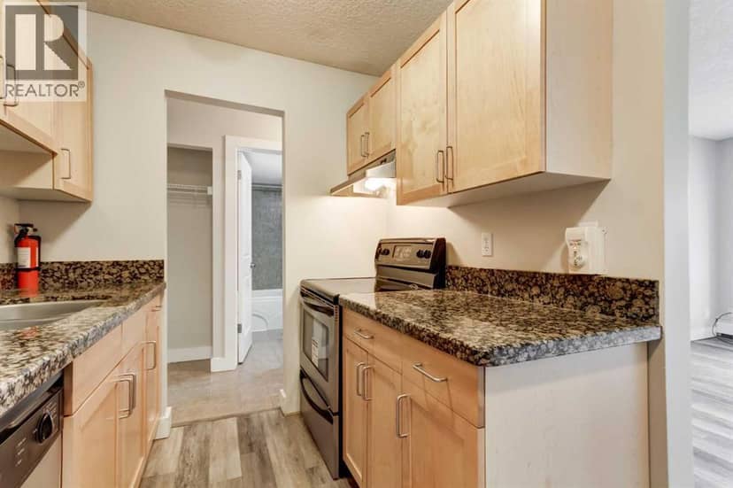 404, 927 2 Avenue NW, Calgary, photo 3