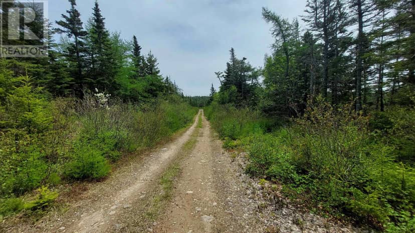 226 acre Mackenzie Lake Rd, Framboise, photo 6