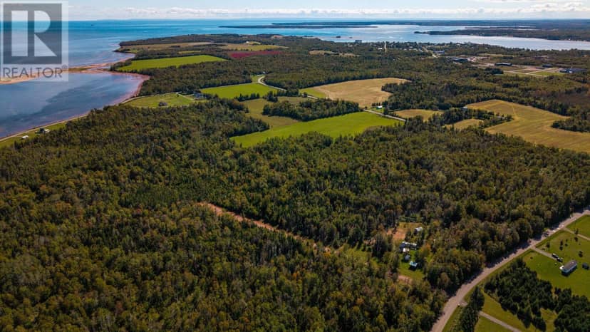 Lot 4 Eagles Way, Georgetown Royalty, photo 6