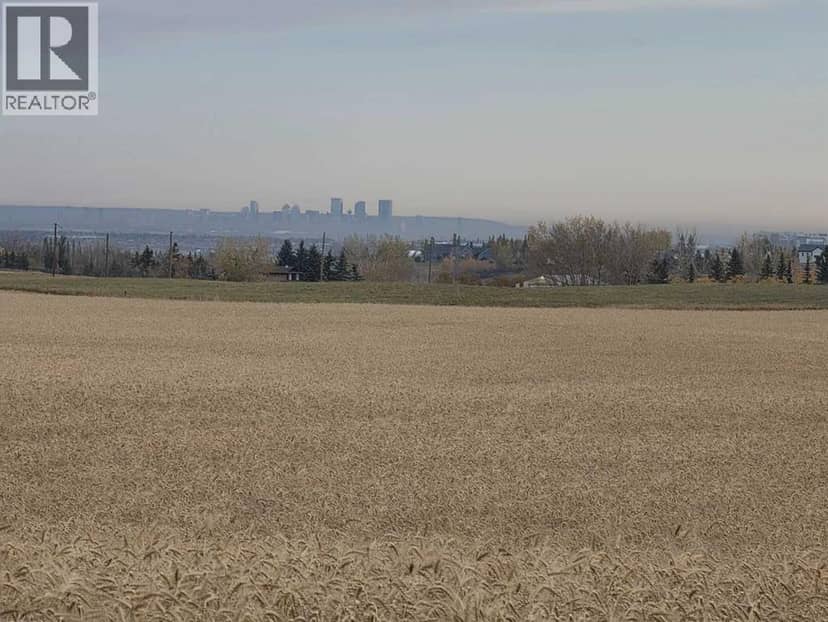 12-12-21-29w4,  64 Street E, Rural Foothills County, photo 7