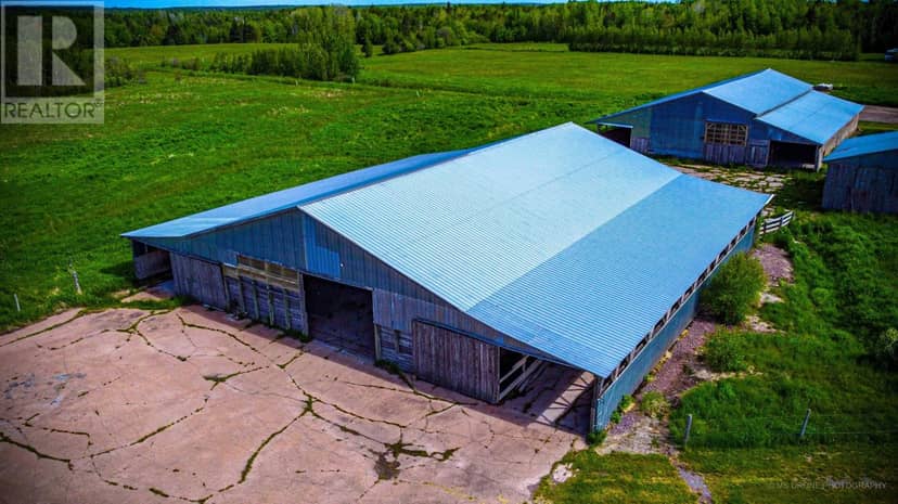 7729 Highway 321, Roslin, photo 4