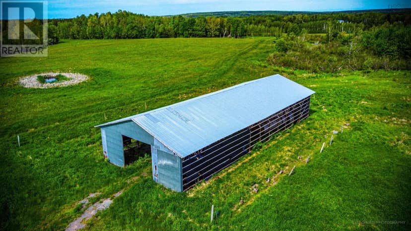 7729 Highway 321, Roslin, photo 5