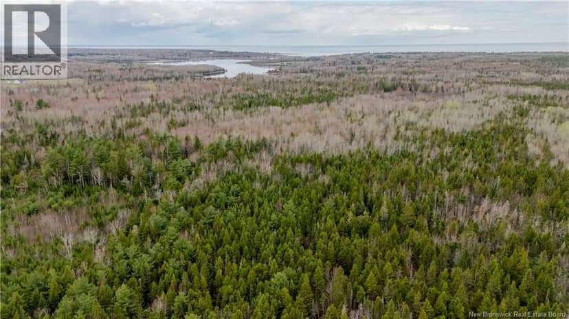 Woodlots Gallant Settlement Cross Road, Cormier Village, photo 7
