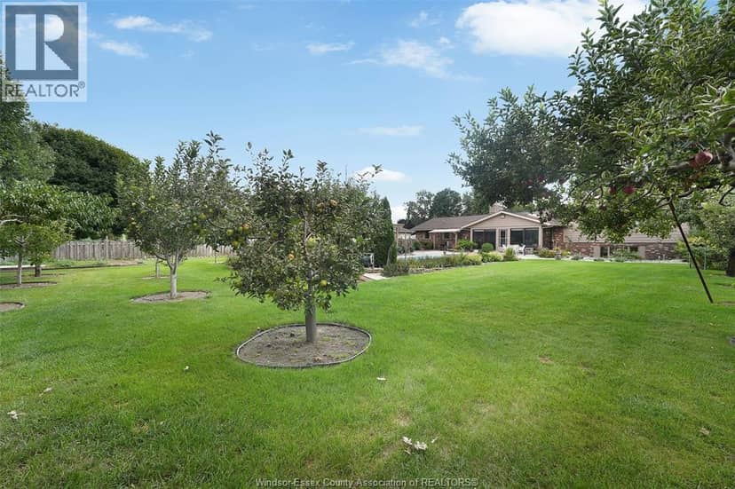 1528 Ravine Line Road — photo 38 of 40
